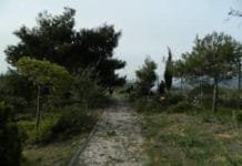 Επιτυχής εκστρατεία καθαρισμού του περιβαλλοντικού πάρκου Λόφου Παλλήνης από μεγάλο αριθμό εθελοντών
