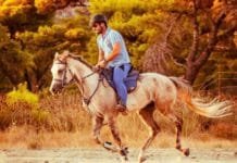 Σε αγώνα Κυπέλλου Ιππικής Αντοχής στη Λαμία, ο Πέτρος Στέλλας του Ιππικού Ομίλου Μεσογείων