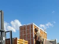 Διανεμήθηκαν μέσω του Δήμου Παλλήνης τρεις τόνοι ροδακίνων