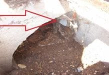 Κατασκεύασε λαγούμι στο οικόπεδο του και μέσω σωλήνα άδειαζε τα βοθρολύματα του βυτιοφόρου του στον αγωγό αποχέτευσης της Κλεισθένους!