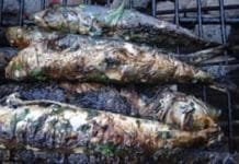 “Γιορτή της Σαρδέλας”, την Παρασκευή 17 Ιουνίου στο Λιμάνι της Αρτέμιδος από το Δήμο Σπάτων-Αρτέμιδος