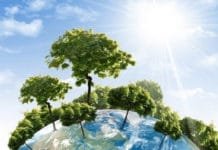 Περιβαλλοντικές ΜΚΟ και Ευρωπαίοι πολίτες διεκδικούν περισσότερη πράσινη ανάπτυξη