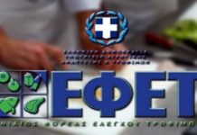 logo-efet