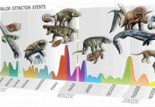 neologosattikis-Major-Extinction-Events