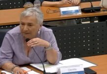 Παρέμβαση Ειρήνης Κουνενάκη στο Δ.Σ Παλλήνης για την άμεση λήψη μέτρων πυροπροστασίας του Λόφου Κεραίας Γέρακα