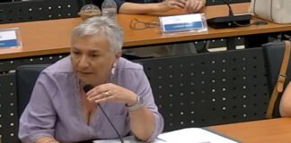 Παρέμβαση Ειρήνης Κουνενάκη στο Δ.Σ Παλλήνης για την άμεση λήψη 5 μέτρων πυροπροστασίας του Λόφου Κεραίας Γέρακα