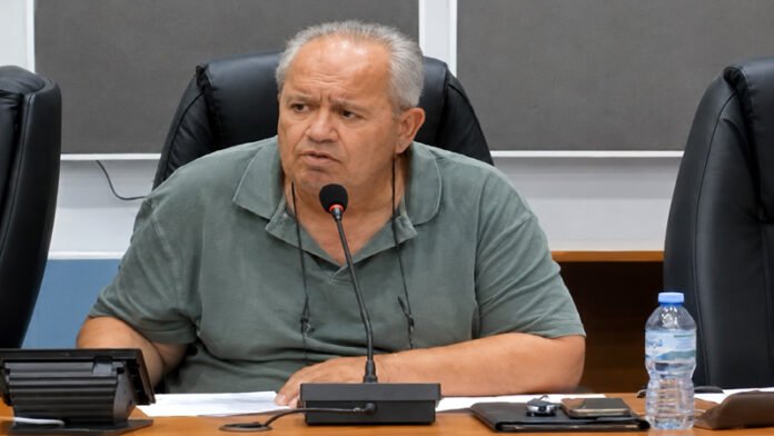 vitsios_aris_proedros_d_s_pallinis_