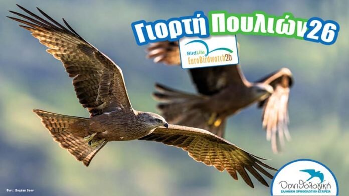 giorti_pouliou_2026_